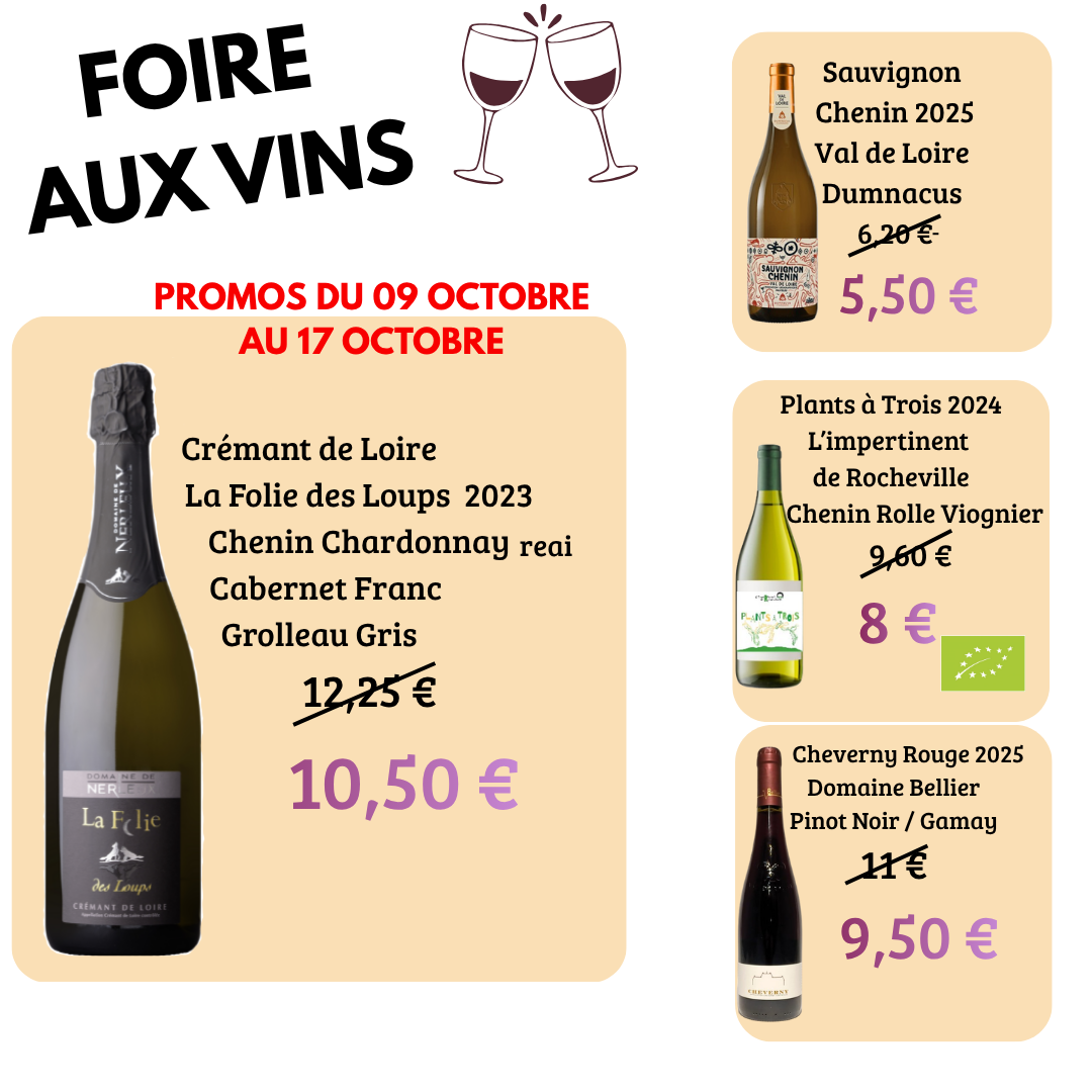 Publication_caroussels_foire_aux_vins_2026(1)[1]