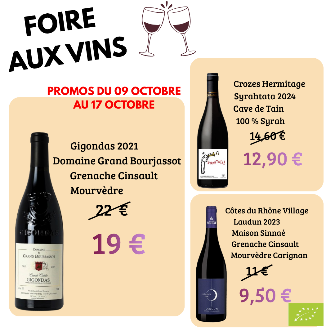 Publication_caroussels_foire_aux_vins_2026(2)[1]