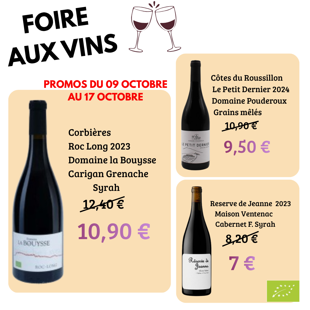 Publication_caroussels_foire_aux_vins_2026(3)[1]